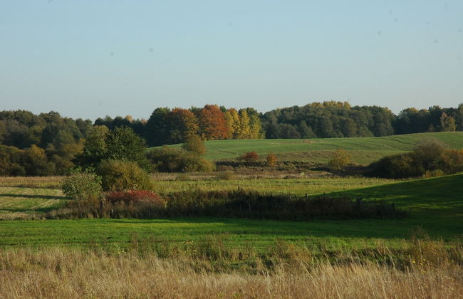 Agroturystyka u przyjaciol Soni - Foto 63