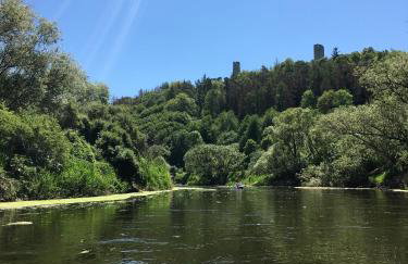 Ferienwohnungen Lausbuben & Zicken - im grünen Herzen Deutschlands - Foto 39