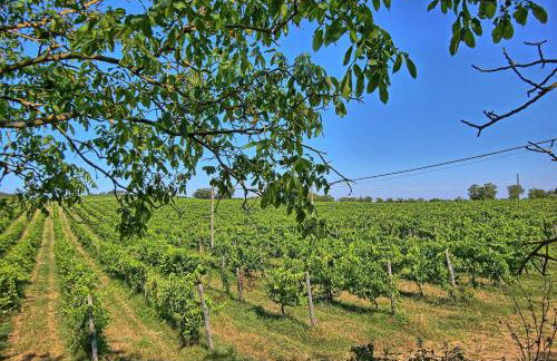 Sole Nel Prato - Foto 20