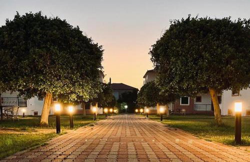 Stomio Villague - Foto 17