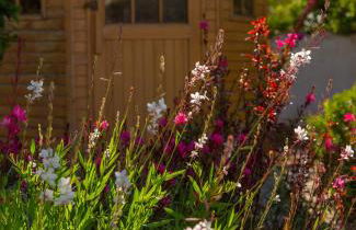 Exotic Beachfront Retreat Handcrafted Bohemian Luxury - Foto 35