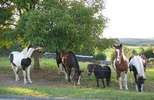 Sabine Comfortable holiday residence - Foto 18