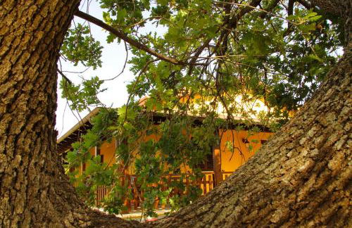 Agriturismo Vulcano - Foto 43