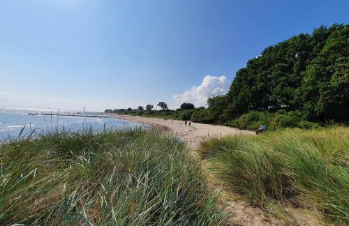 Campingland Ostsee - Mobilheim A2Meeresbriese - Foto 11