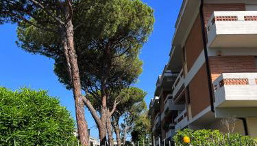 Casa Palma - 300mt dal Mare - Foto 2