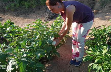 Apartamento en pleno Montseny Mas Romeu Turisme Rural - Foto 73