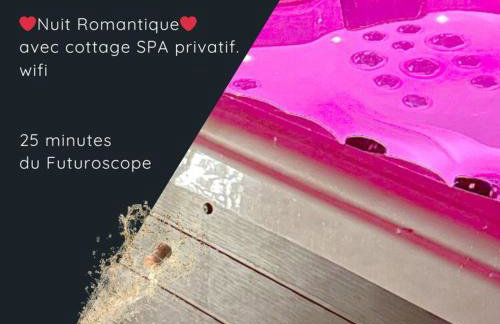 Love You Suite Romantique Spa 25min du futuroscope - Foto 18