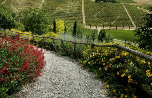 Relais di Tenuta Santa Caterina B&B - Foto 24