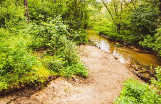 Autumn Nature Cottage Stove Garden by PolandBnB - Foto 18