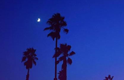 Beachfront Paradise - Foto 13