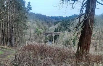 Lanarkshire Apartment- Views- Sleeps 4- Balcony - Photo 36