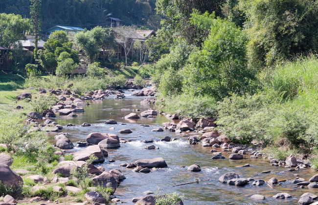 Yellowstone Camps Resort Sapan - Photo 17