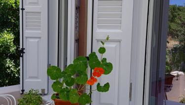 Andros Lighthouse Apartments - Foto 2, Garden