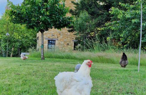 Les Granges Hautes, maisons de vacances, proches de Sarlat avec piscine, parc, - Foto 14