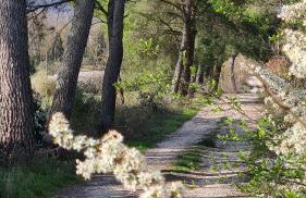 Colle del Vento - Foto 58