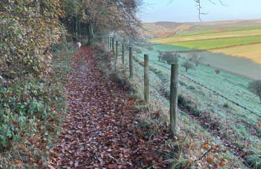 Stylish Cabin in East Sussex near Newhaven ferry - Foto 6