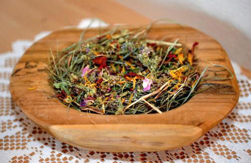 Schweiggerhof -Agriturismo- Farm Holidays - Foto 69