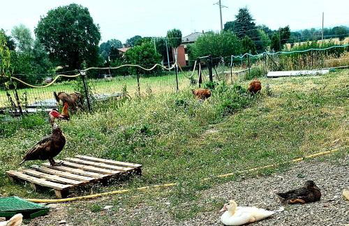 AGRITURISMO AZIENDA AGRICOLA FERRARI M.RITA - Photo 22