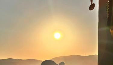 BeFree Apartments La Ciaccia - Foto 5