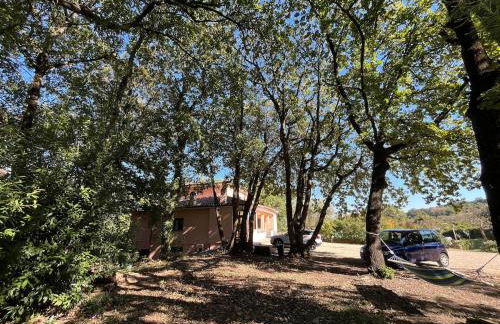 Villa with Garden near Rome for Groups & Families - Foto 55