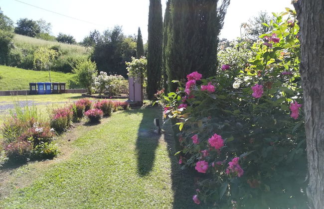 La Collina dei Ciliegi - Photo 31