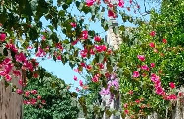 Seaview Dubrovnik Old Town - Foto 18