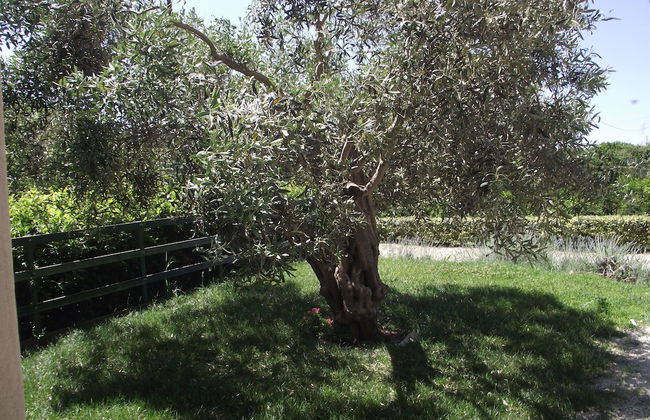 Casale delle Rose - Photo 60