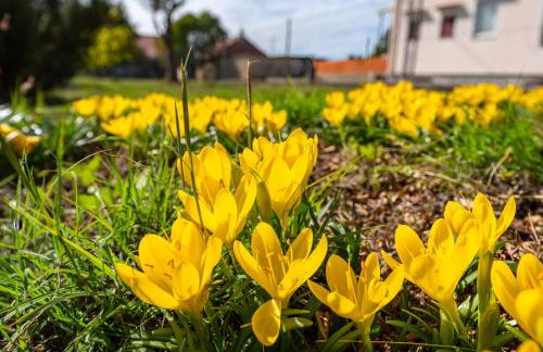 Spacious Holiday Home Joy with pool and playground, Suhovare - Foto 89