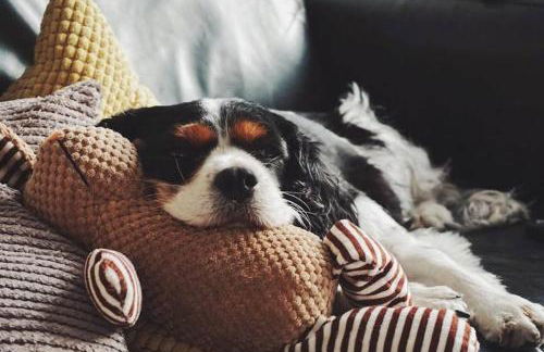 Dunsley Cottage - Foto 23