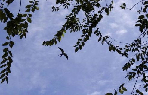 Rustic Cabin Rental Located in St. Marks Wildlife Refuge, Florida - Foto 20