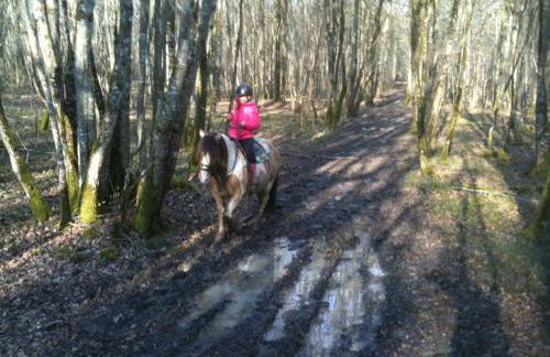 Le Terrier Blanc - Foto 10