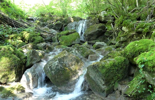 House By The Stream - Foto 17