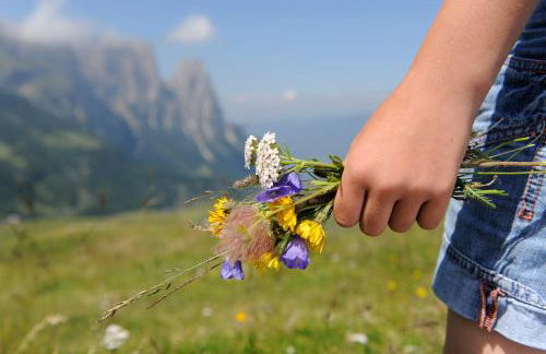 Apartment Sella - Foto 33