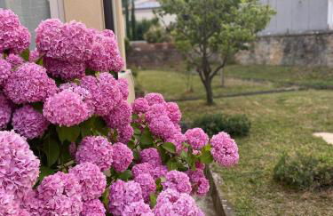 Casa Vacanza Alle Pratoline covered parking for bicycles and motorcycles - Foto 23