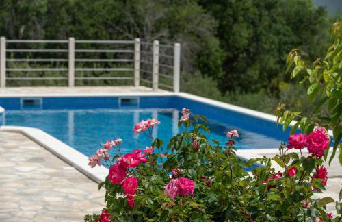 Villa Žuža - Foto 5