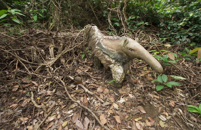 Villas Josipek - Foto 74