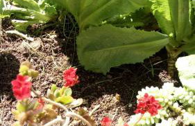 Norte Hospedagem - Photo 15