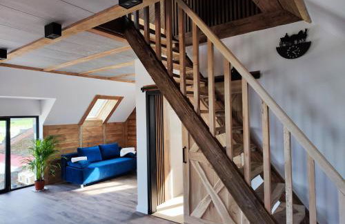 Vigor Horses - Foto 19