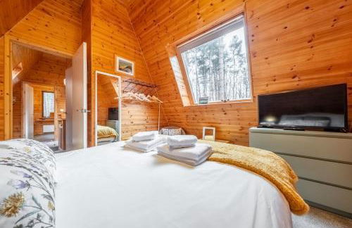 Woodpecker - Photo 35