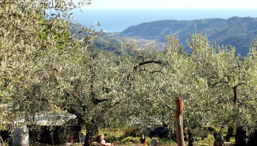 L'Oasi del Rossese - Foto 2, Garden view