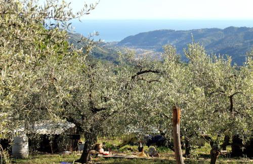 L'Oasi del Rossese - Foto 2