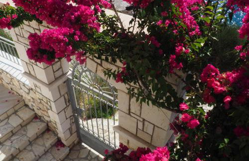 AssosView - Photo 11