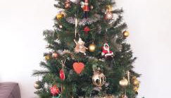 Gîte Timéo Mont Saint-Michel - Foto 2