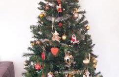 Gîte Timéo Mont Saint-Michel - Foto 2