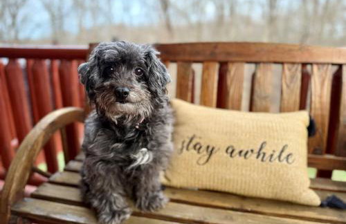 Breath of Heaven Cabin- Hot Tub, Deck, Pond, PETS - Foto 2