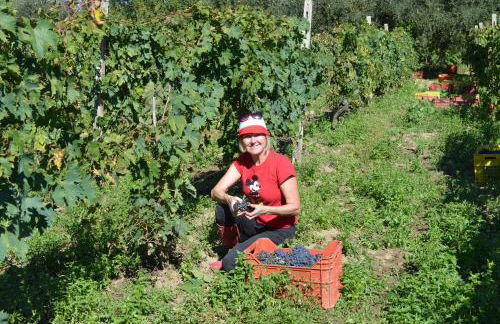 Casa Martin , 4 bedroom villa - Foto 63