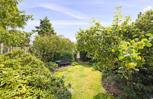 The Nest - Cosy Holiday Cottage - Photo 50