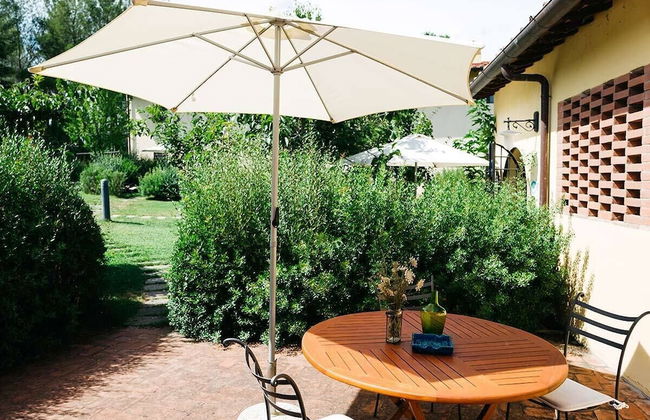 Gatto Bianco Tizzauli - Foto 43