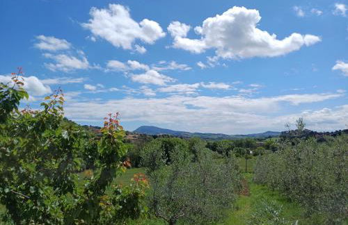 Appartamento Mi & Mi - Photo 22