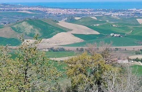 COUNTRY HOUSE - Foto 46